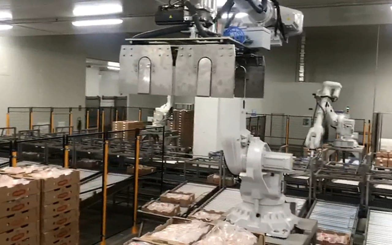 End-of-Line Robotic Case Palletizing